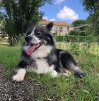 Tradjah Domaine de Merlou