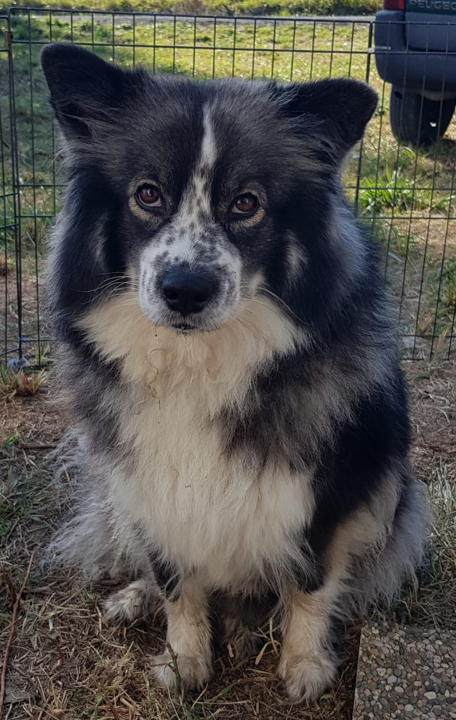 Domaine de Merlou - Portée de prévue
